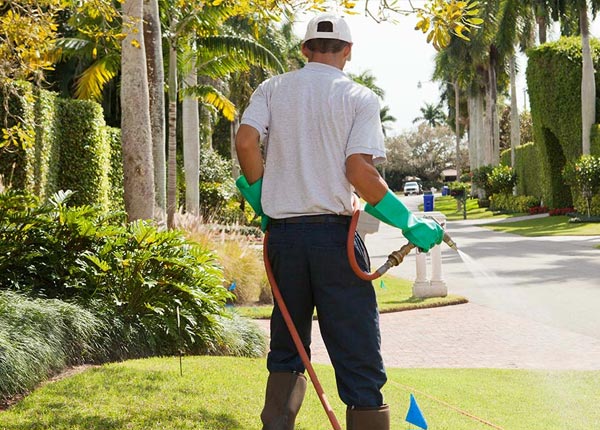 About Cashiers NC Pest Control